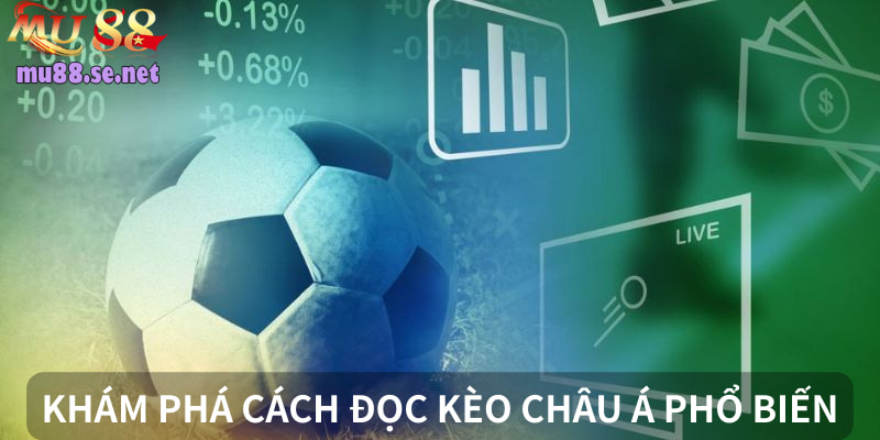 Tổng hợp một số tỷ lệ chấp phổ biến tại nhà cái