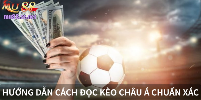 Hướng dẫn chi tiết đọc tỷ lệ hòa chuẩn xác 